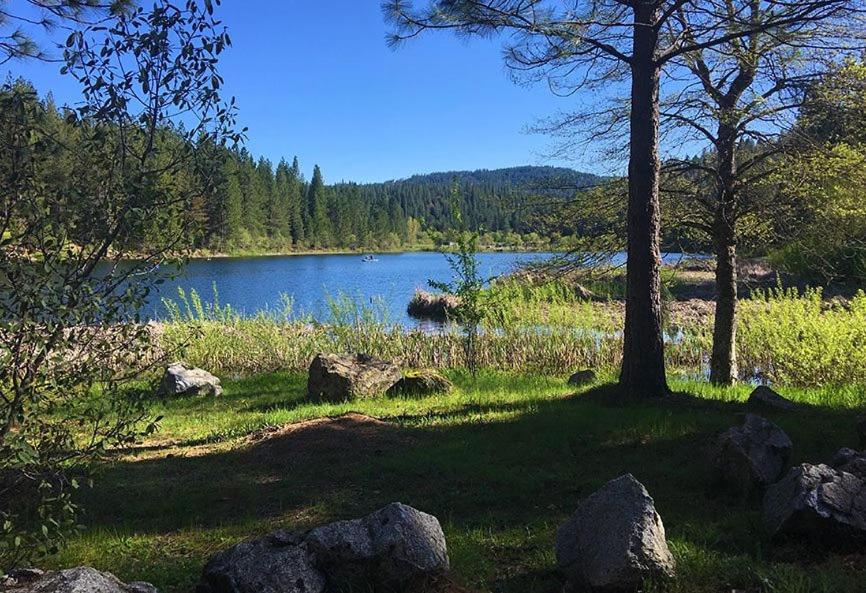 Вилла Bearvista Арнолд Экстерьер фото